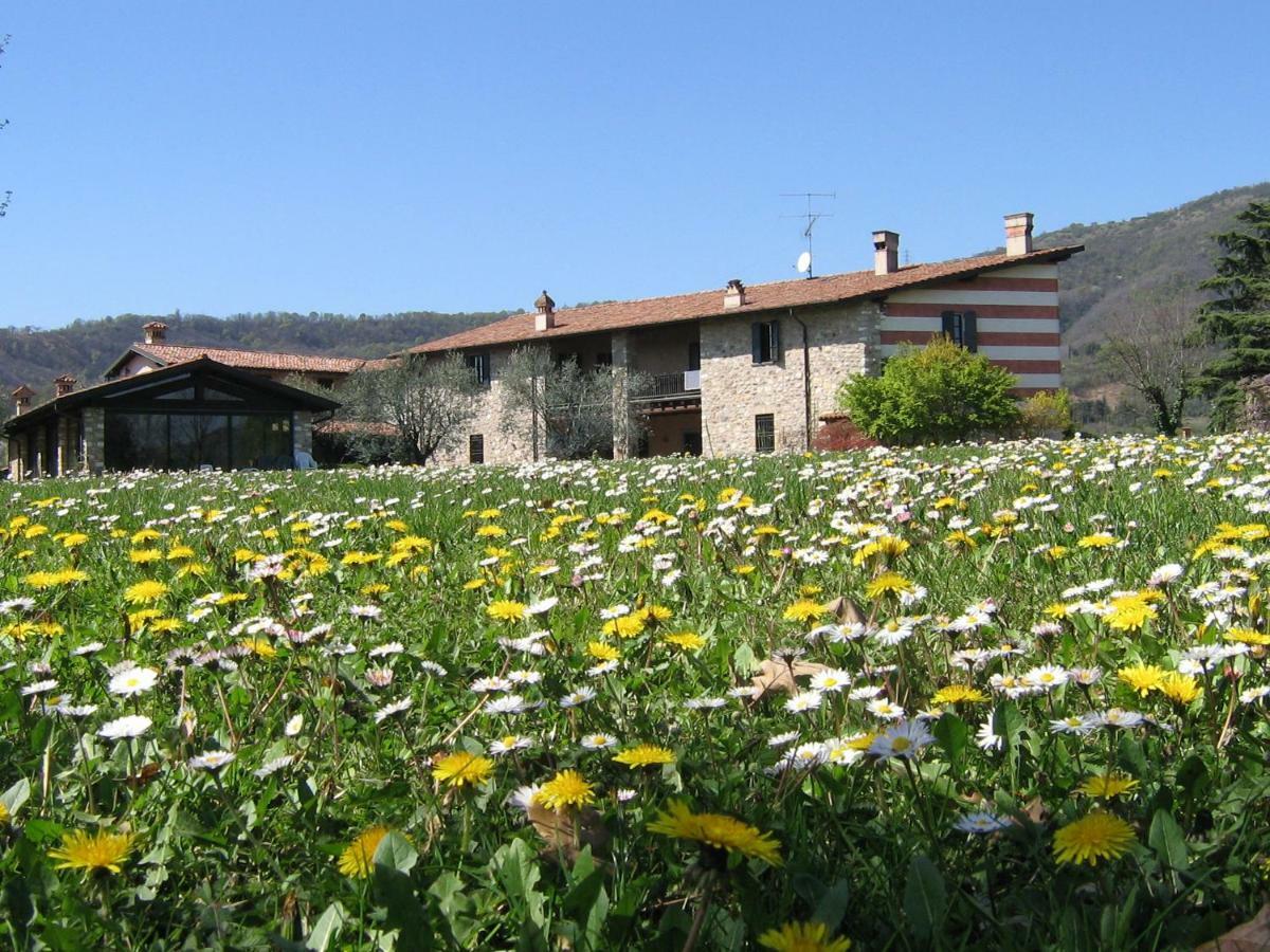 B&B Il Dosso Corte Franca Kültér fotó